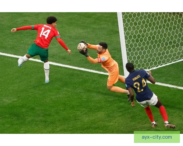 十场半决赛揭晓五大黑马 纳豆小弟首次进决赛 张帅失误急寻帮助